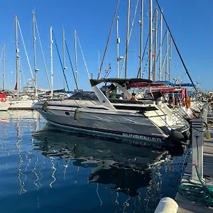 Boat In Botel Puerto De Mogan